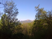 08 Meglio il bosco